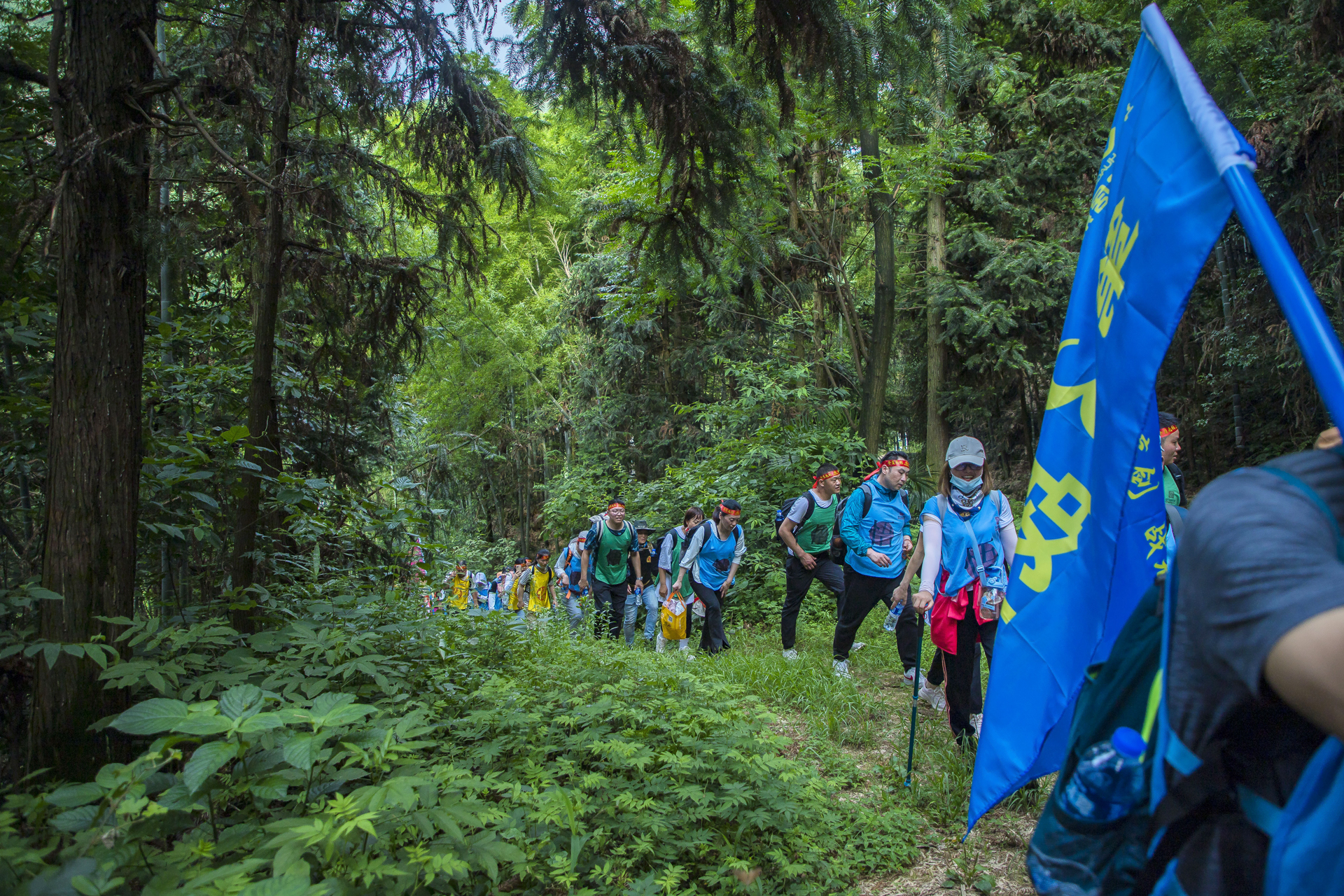 1655099541648744.jpg 10.JPG